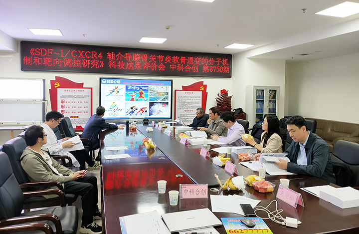 SDF-1 CXCR4轴介导膝骨关节炎软骨退变的分子机制和靶向调控研究 anli.jpg